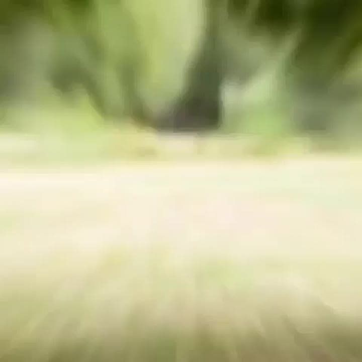Не трогай, это может стоить жизни!