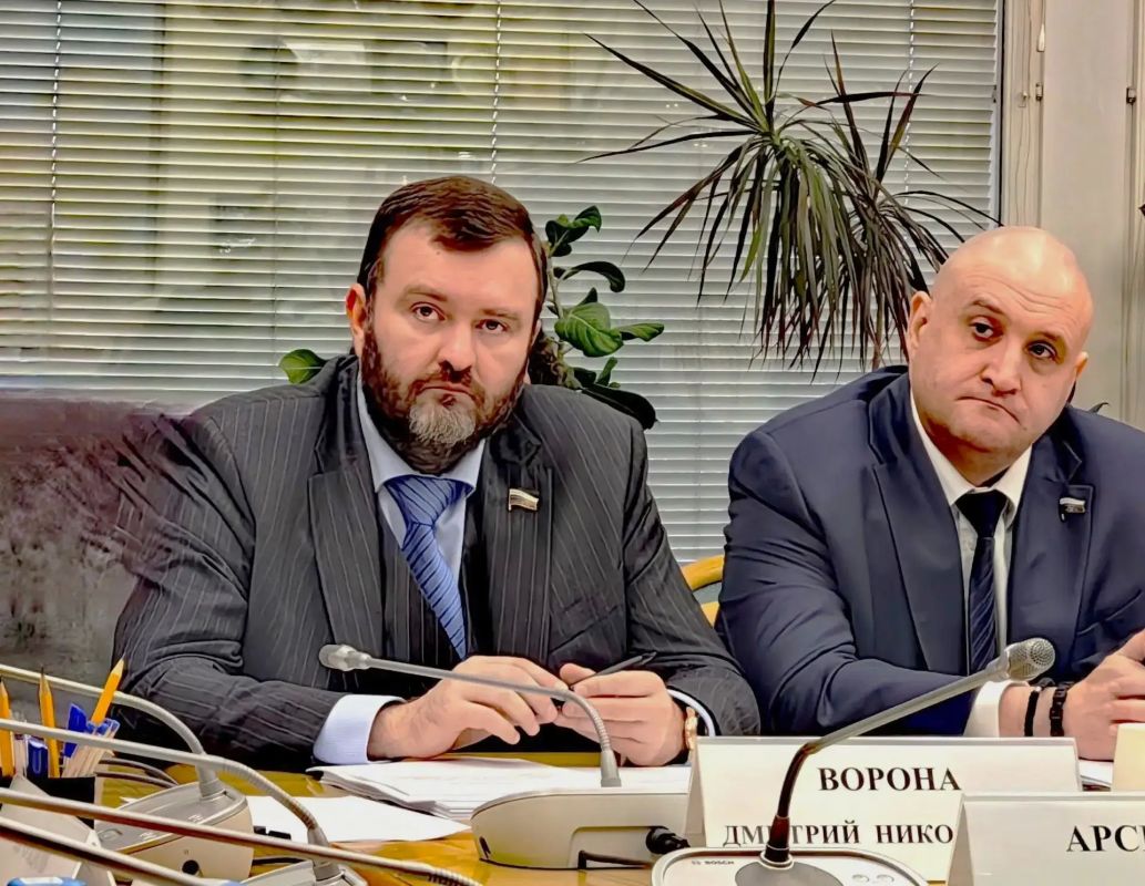 Дмитрий Ворона принял участие в заседании комитета Госдумы по региональной политике
