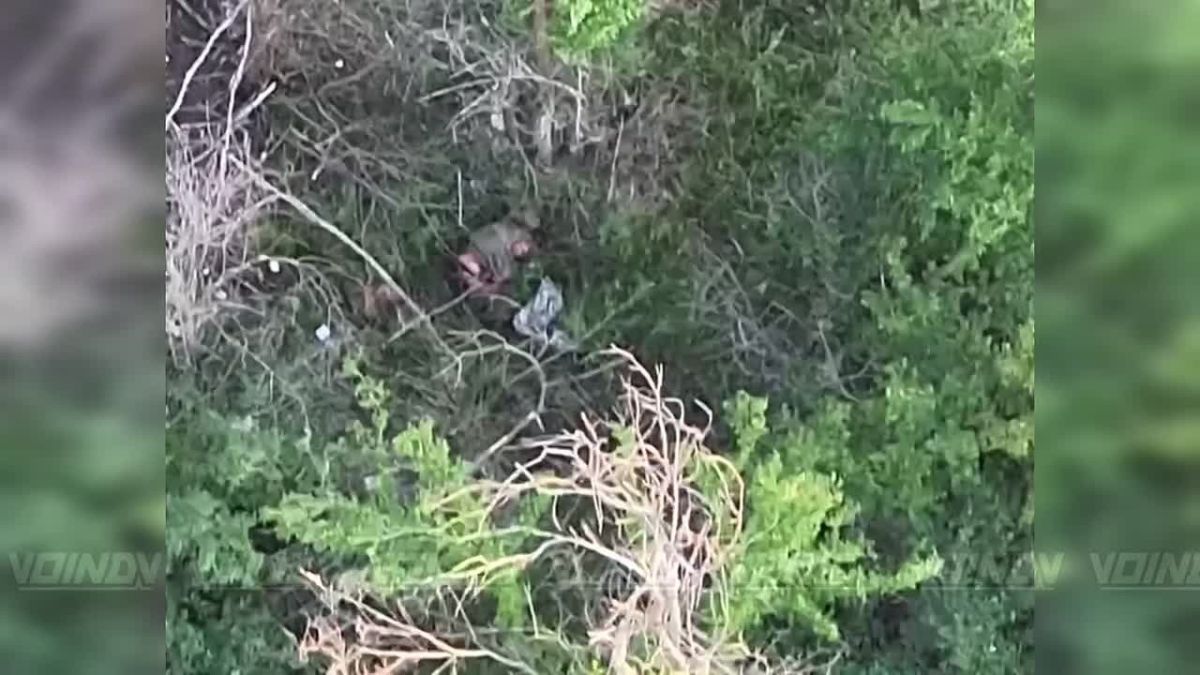 Гвардейцы 26 полка РХБЗ 36 армии группировки войск «Восток» выявили и уничтожили живую силу противника на Запорожском направлении