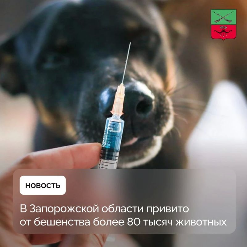 Ветеринарная служба Запорожской области проводит вакцинацию от бешенства