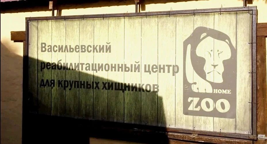 Васильевскому ребцентру для крупных хищников передали ветеринарные препараты, собранные в рамках благотворительной акции