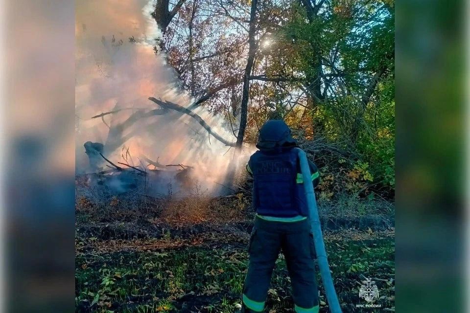 На пожаре и ДТП в Запорожской области погибли три человека