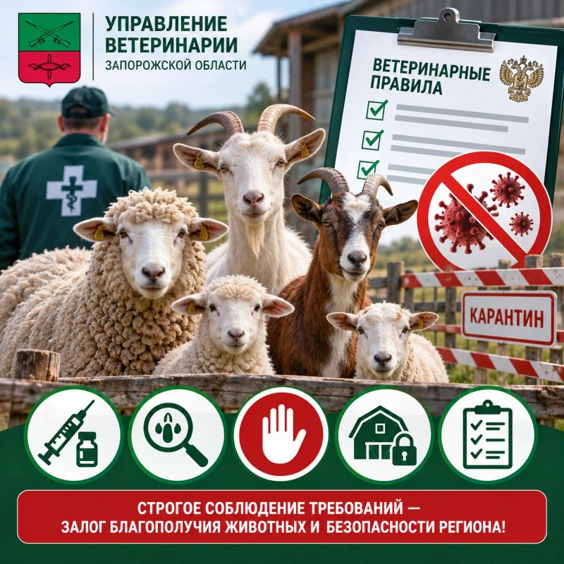 Управление ветеринарии Запорожской области обращает внимание руководителей животноводческих хозяйств, занимающихся содержанием и разведением мелкого рогатого скота, независимо от формы собственности, а также владельцев...