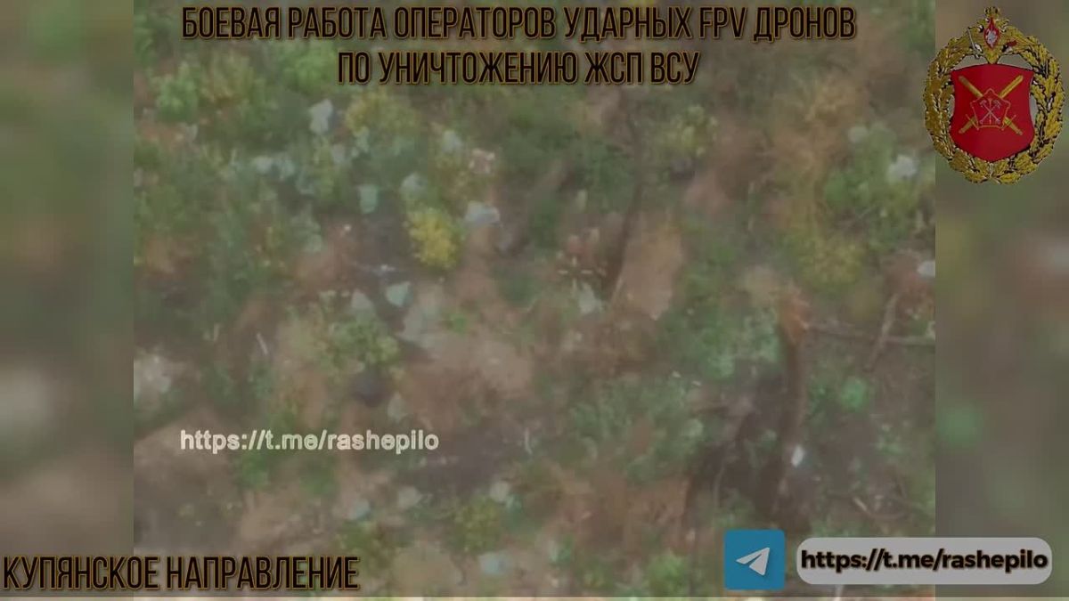 Купянское направление: 41-я омбр ВСУ несёт критические потери от ударов FPV-дронов