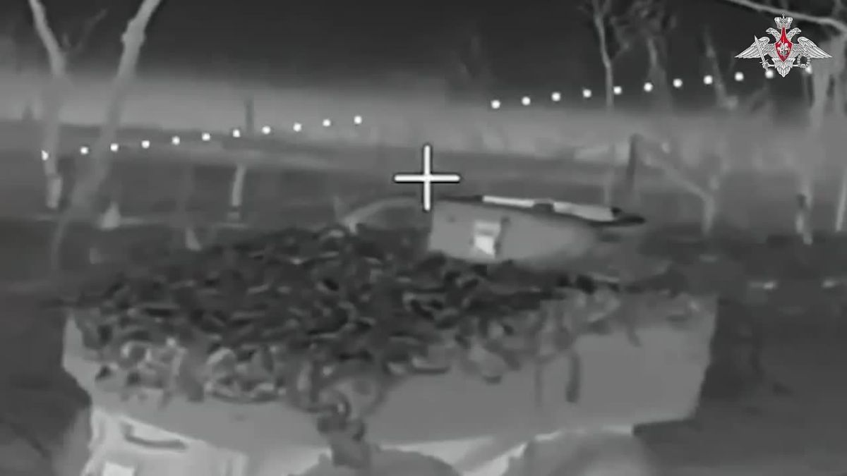Подразделения группировки войск «Восток» освободили населенный пункт Тимошевка Запорожской области – Минобороны России