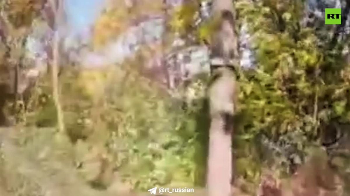 В Запорожской области ударными БПЛА ликвидирован склад боеприпасов ВСУ вместе с самоходной гаубицей «Богдана» и полевой реактивной системой залпового огня БМ-21 «Град»