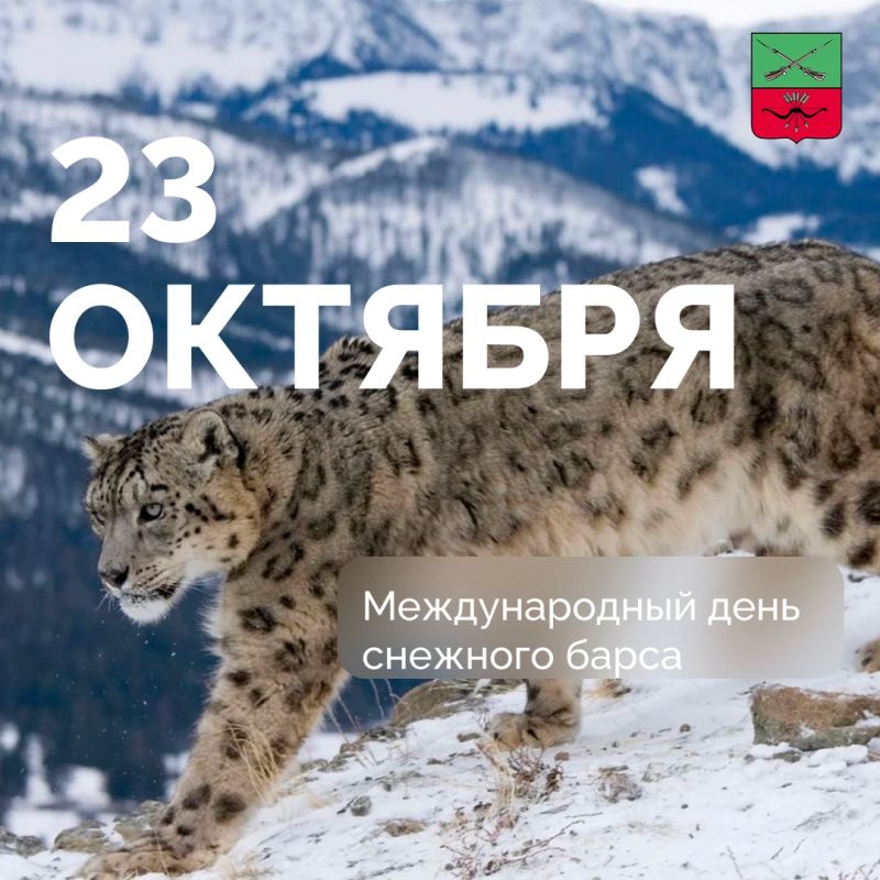 День защиты краснокнижного ирбиса