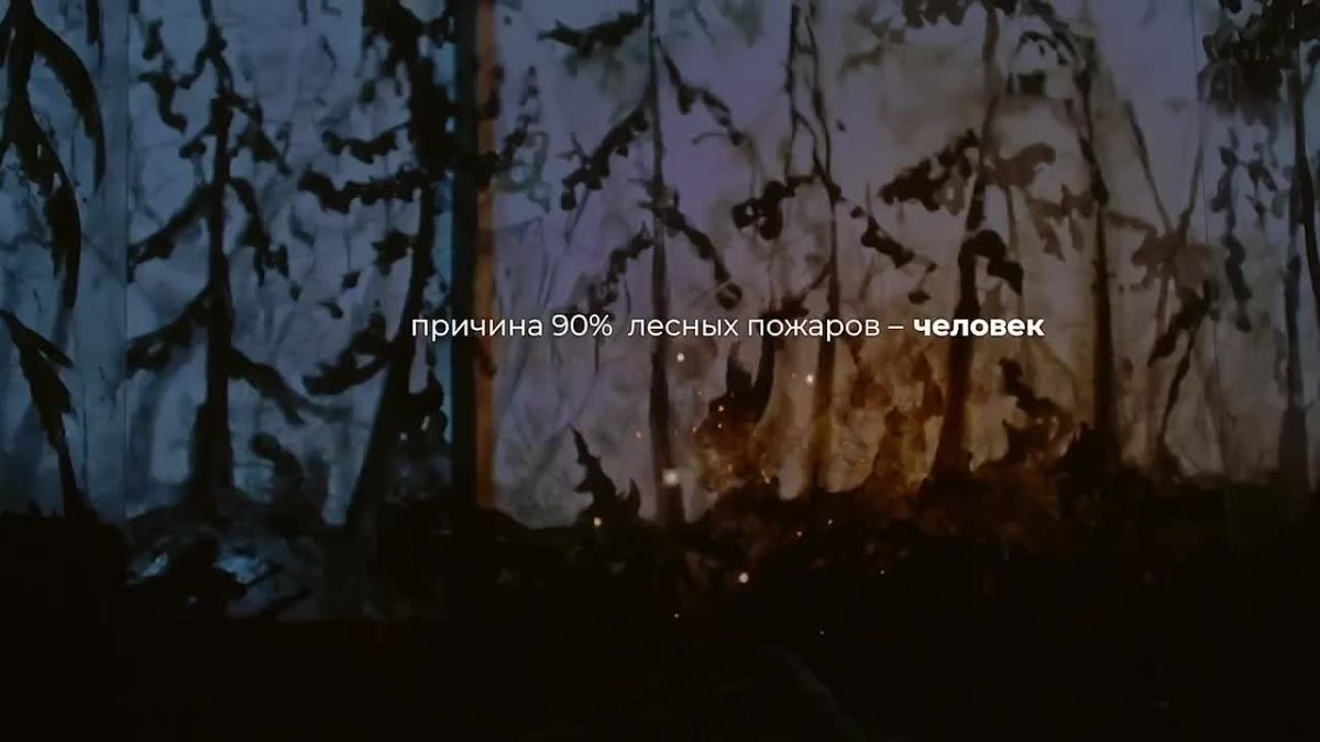 Минприроды предупреждает: одна искра может уничтожить тысячи гектаров леса!