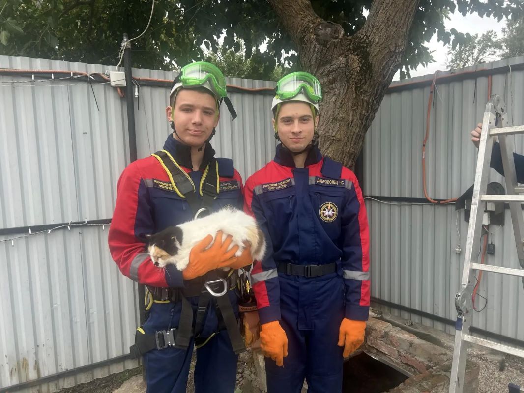 Добровольцы Запорожского РО ВСКС спасли кошку, провалившуюся в колодец