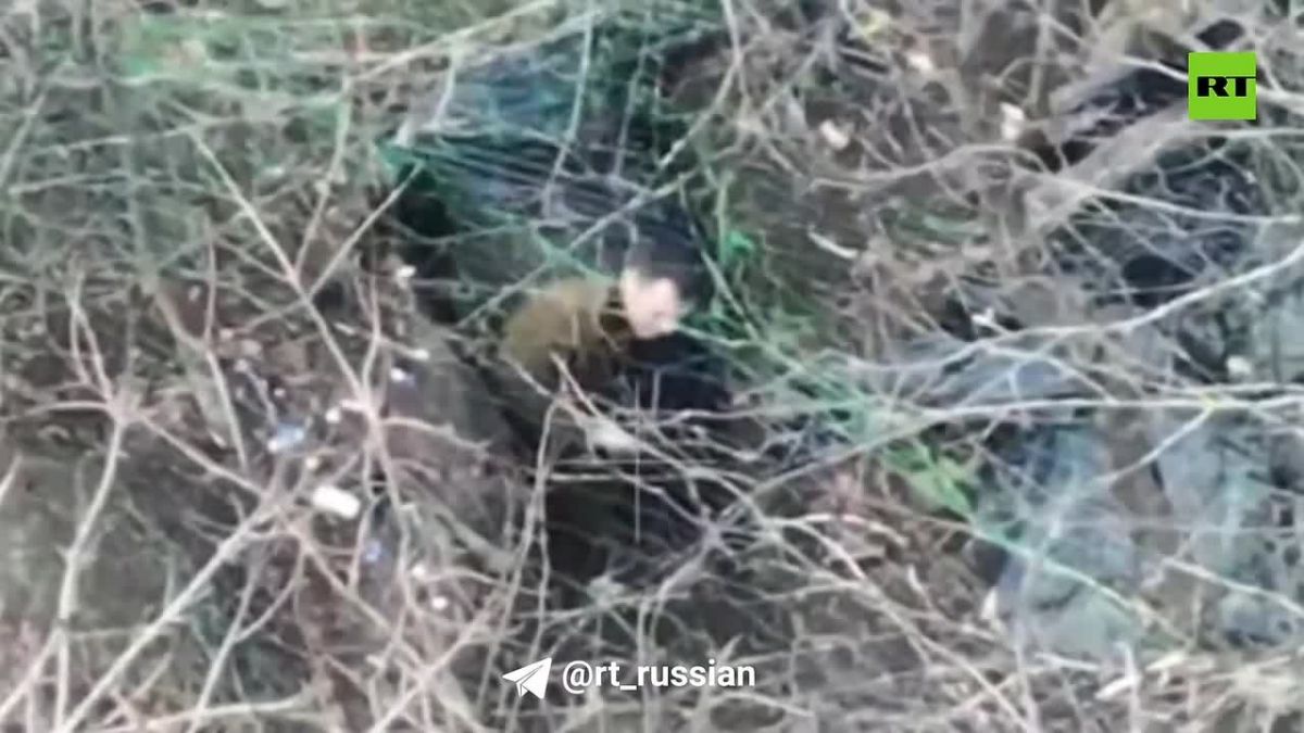 ВС РФ разгромили несколько пунктов управления дронами ВСУ в Запорожской области