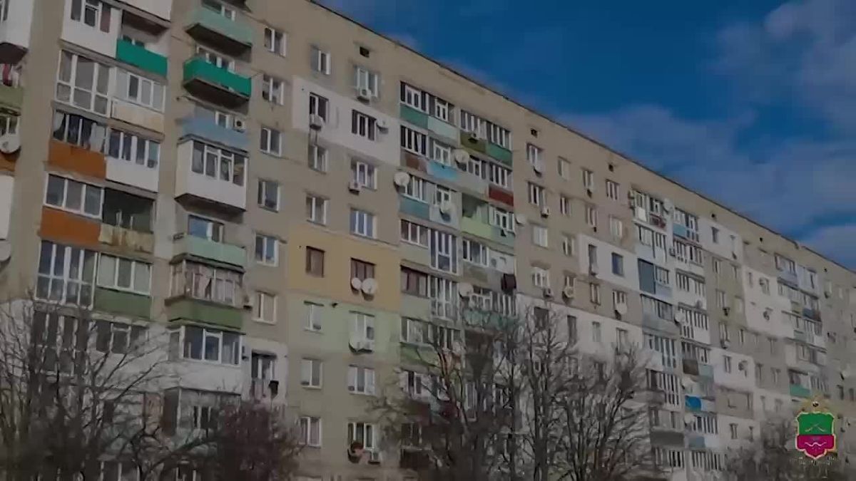 В Бердянске раскрыт разбой, в ходе которого одну из потерпевших насильно остригли и облили зелёнкой