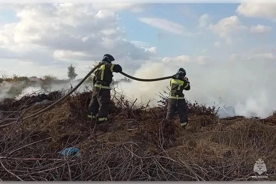 Пять пожаров потушили в Запорожской области за сутки