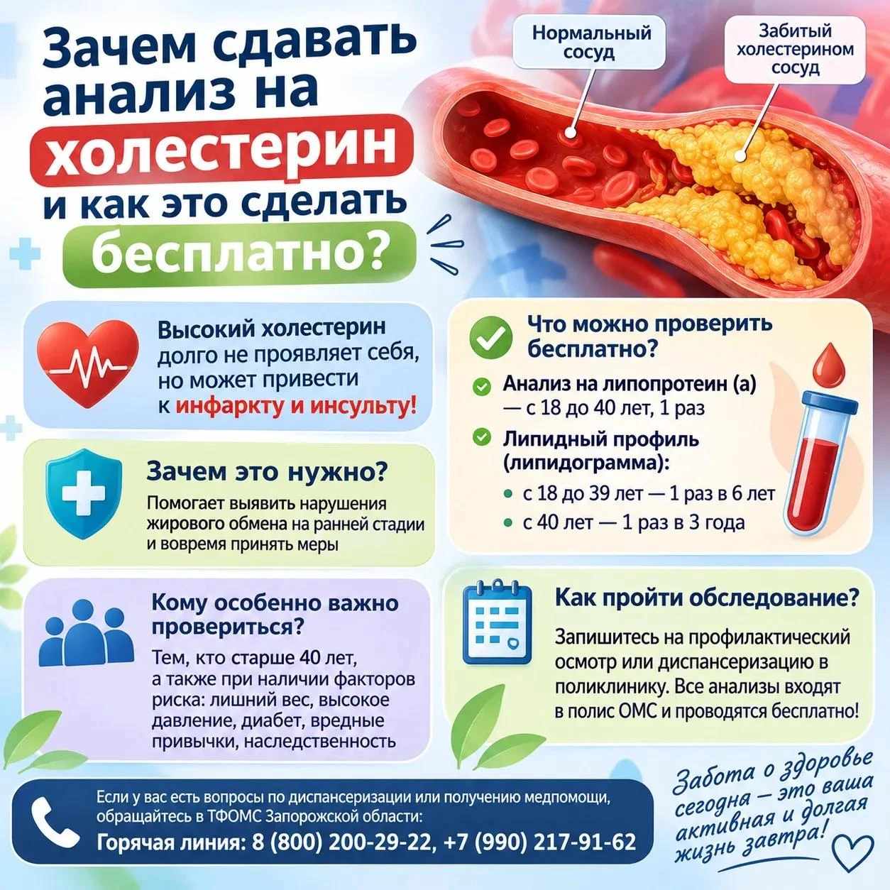 Зачем сдавать анализ на холестерин и как это сделать бесплатно?